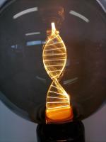 Ampoule LED à Filament  Globe ADN  E27 3,5W Dimmable Verre Fumé GIRARD SUDRON
