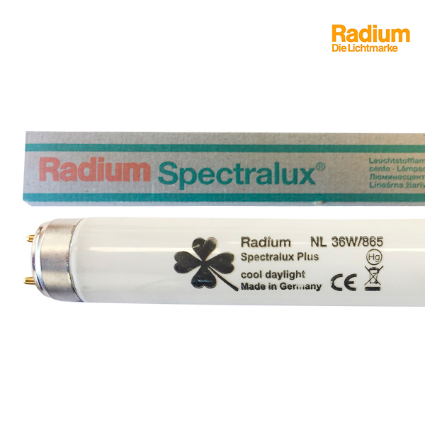 Tube fluorescent G13 T8 36W Spectralux 6500K Radium