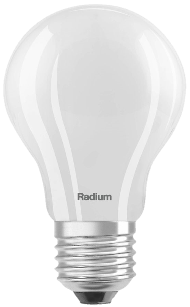 Ampoule LED E27 standard 12W dimmable dépolie 2700K Radium
