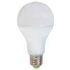 Ampoule LED Standard E27 14W 1250lm Girard Sudron