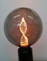 Ampoule LED à Filament  Globe ADN  E27 3,5W Dimmable Verre Fumé GIRARD SUDRON